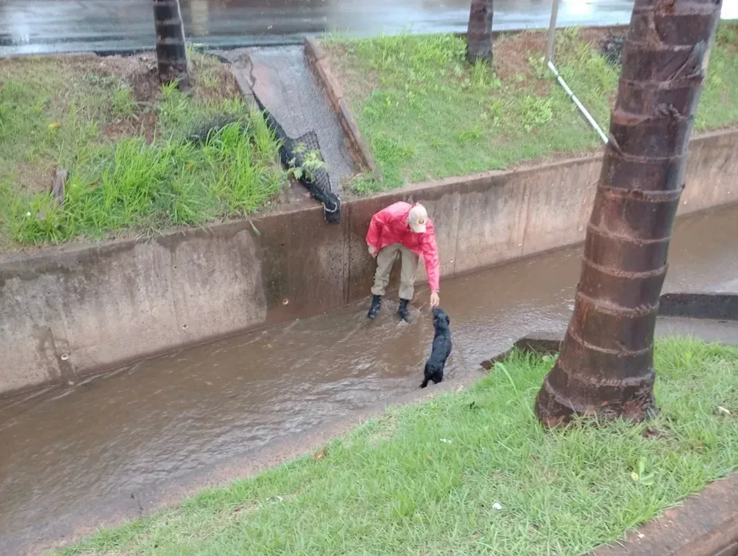 Imagem de compartilhamento para o artigo Cachorro é salvo por Corpo de Bombeiros em Chapadão do Sul da MS Todo dia